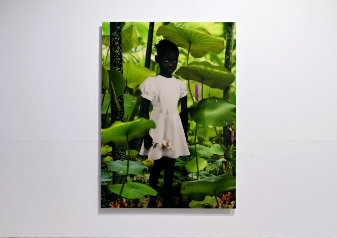 Exposition : A Perfect World @ Léon Bardamu