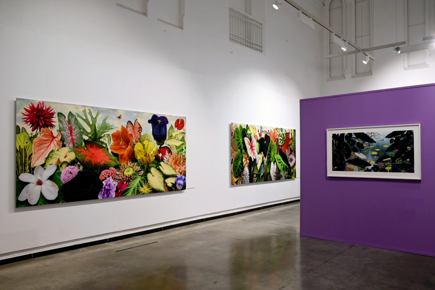 Exposition : A Perfect World @ Léon Bardamu