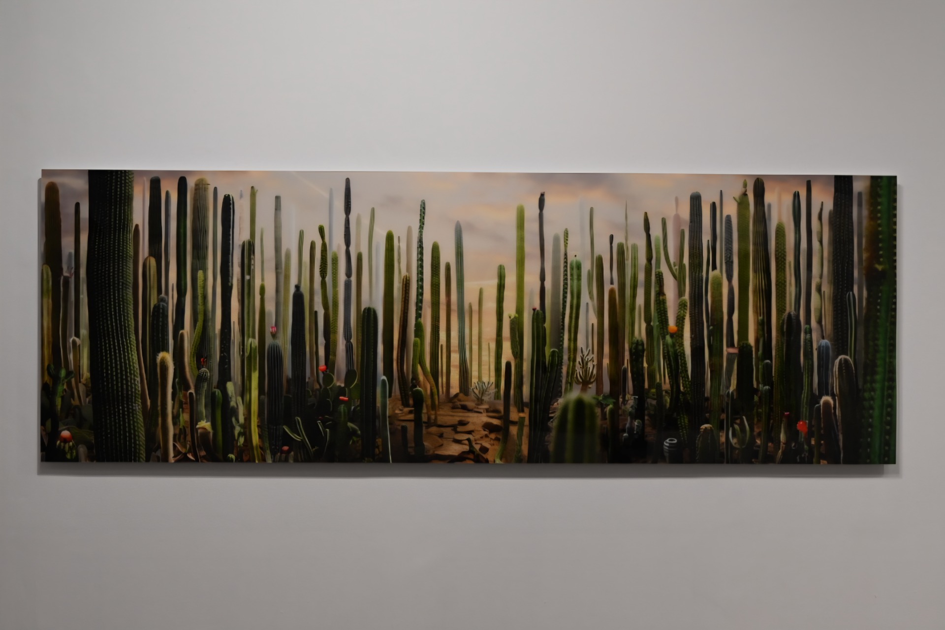 Exposition : A Perfect World @ Léon Bardamu