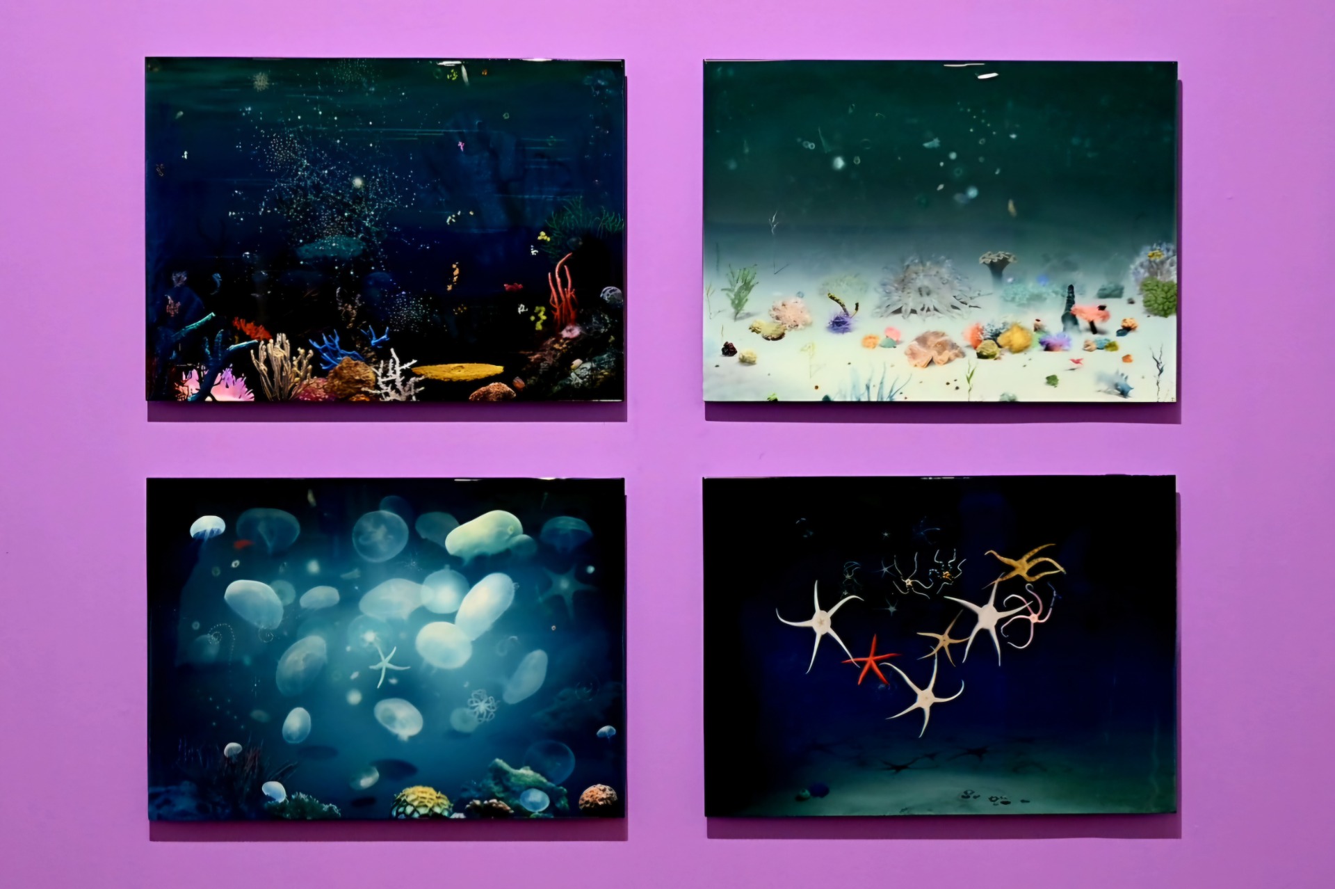 Exposition : A Perfect World @ Léon Bardamu