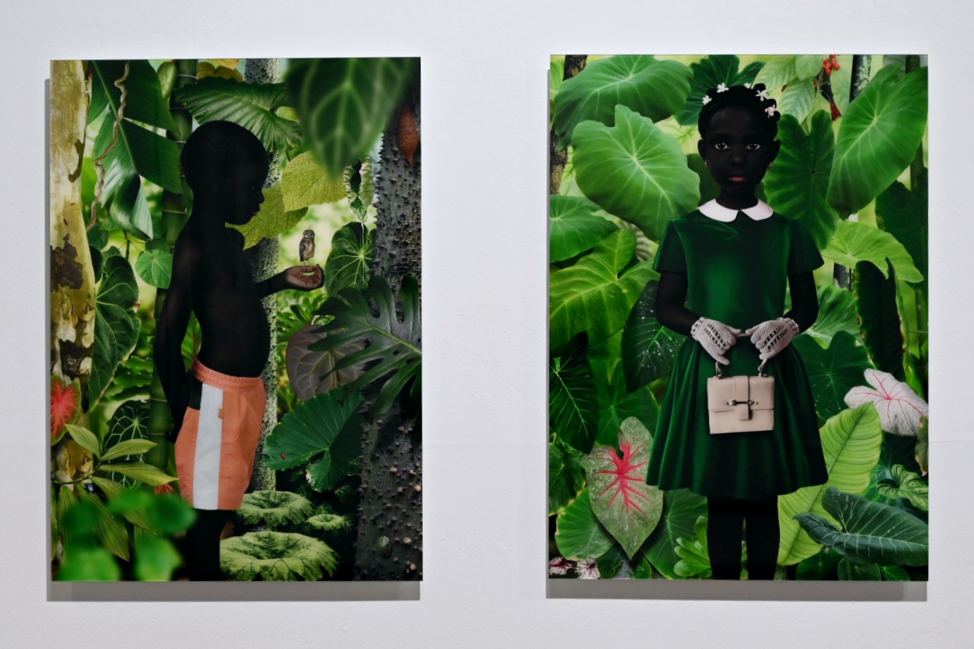 Exposition : A Perfect World @ Léon Bardamu