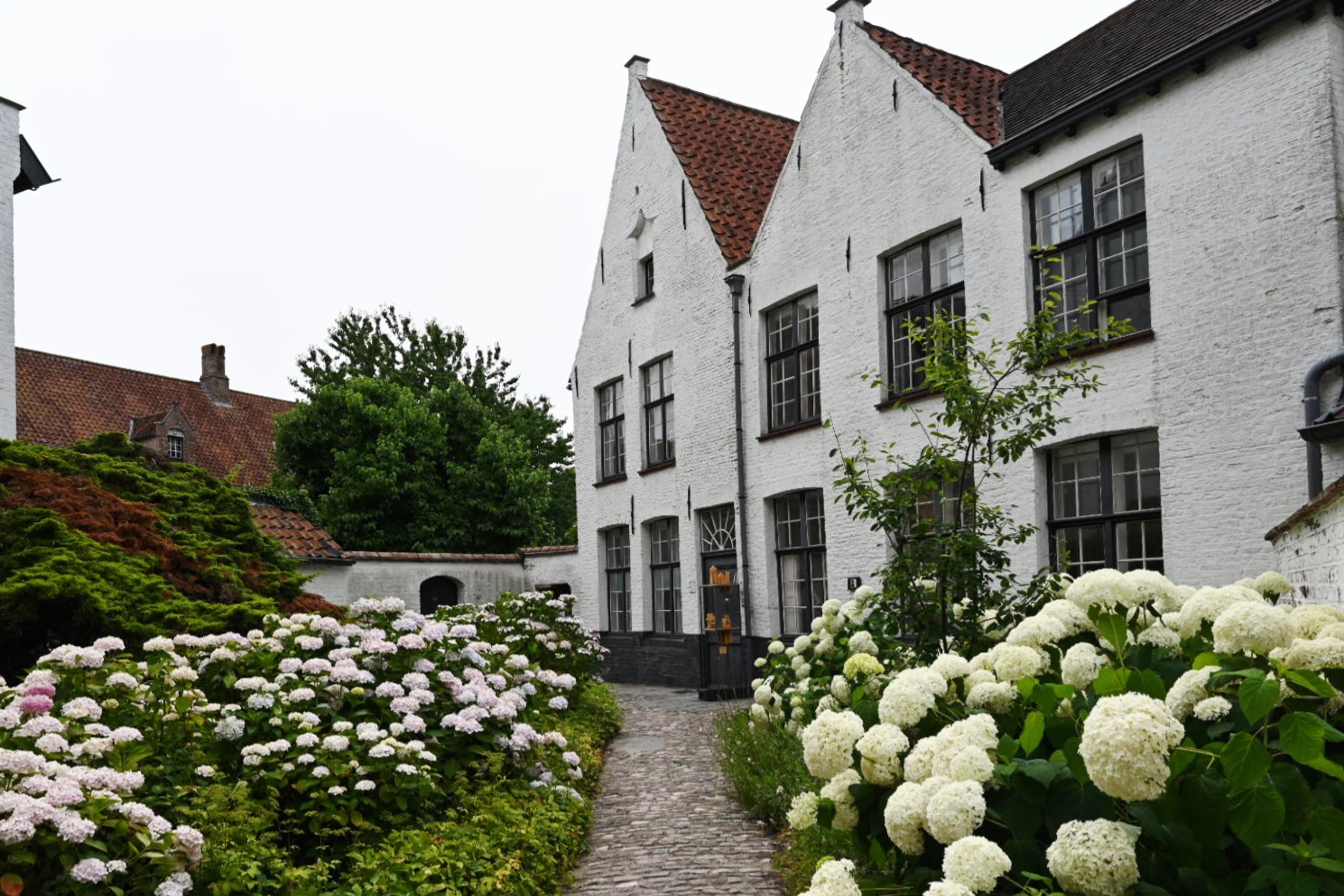 Bruges, le temps d'une journée @ Léon Bardamu