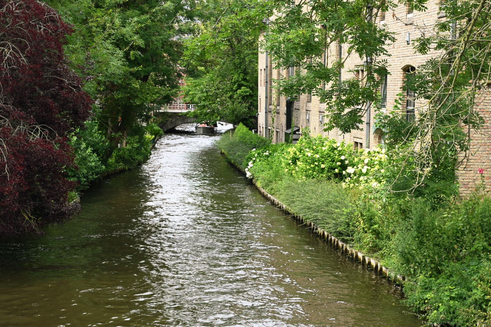 Bruges, le temps d'une journée @ Léon Bardamu