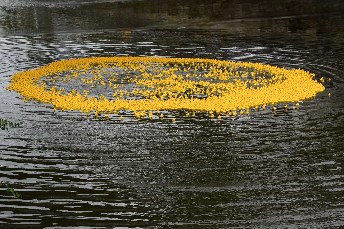 Mon Canard Carolo @ Léon Bardamu 20250921