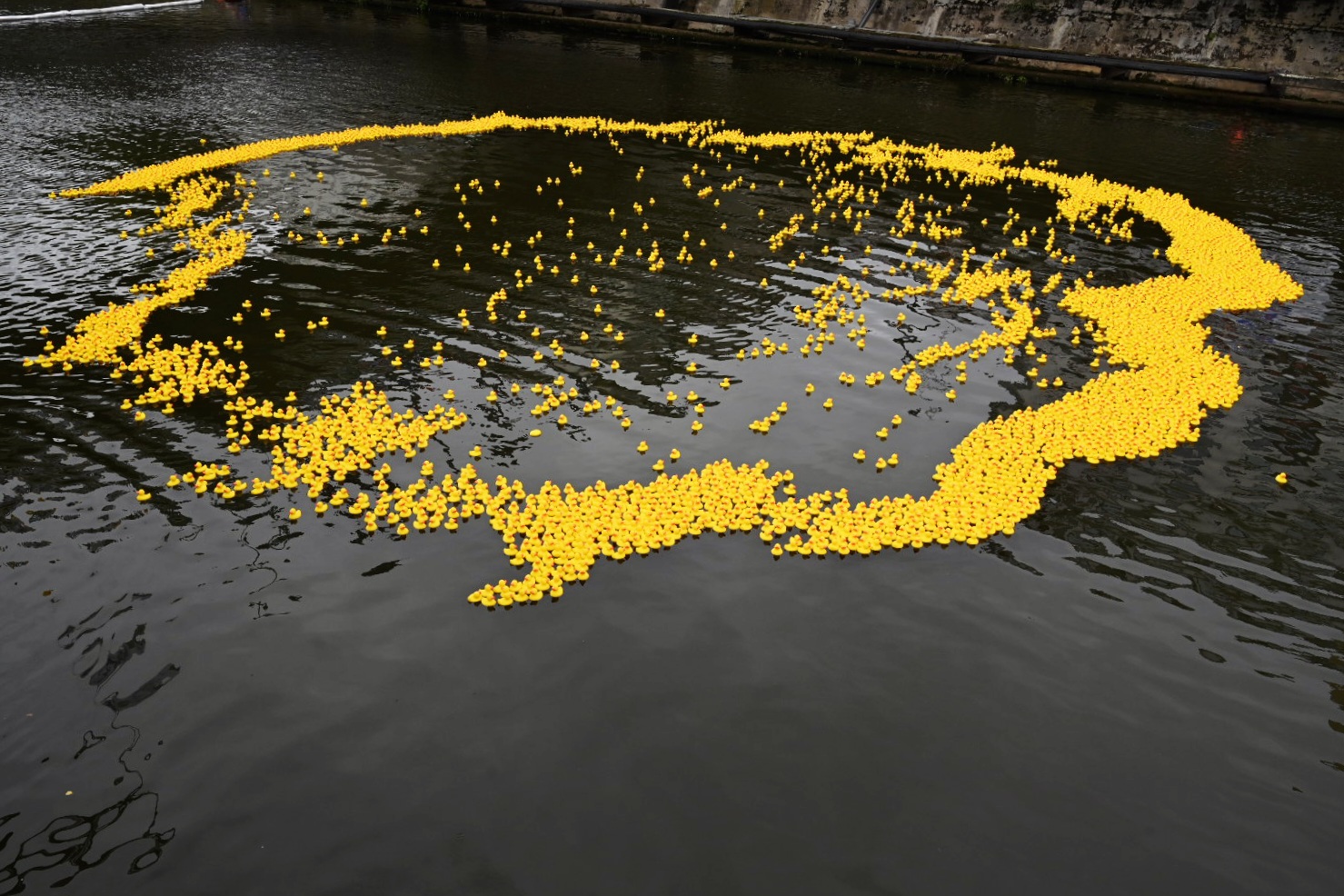 Mon Canard Carolo @ Léon Bardamu 20250921