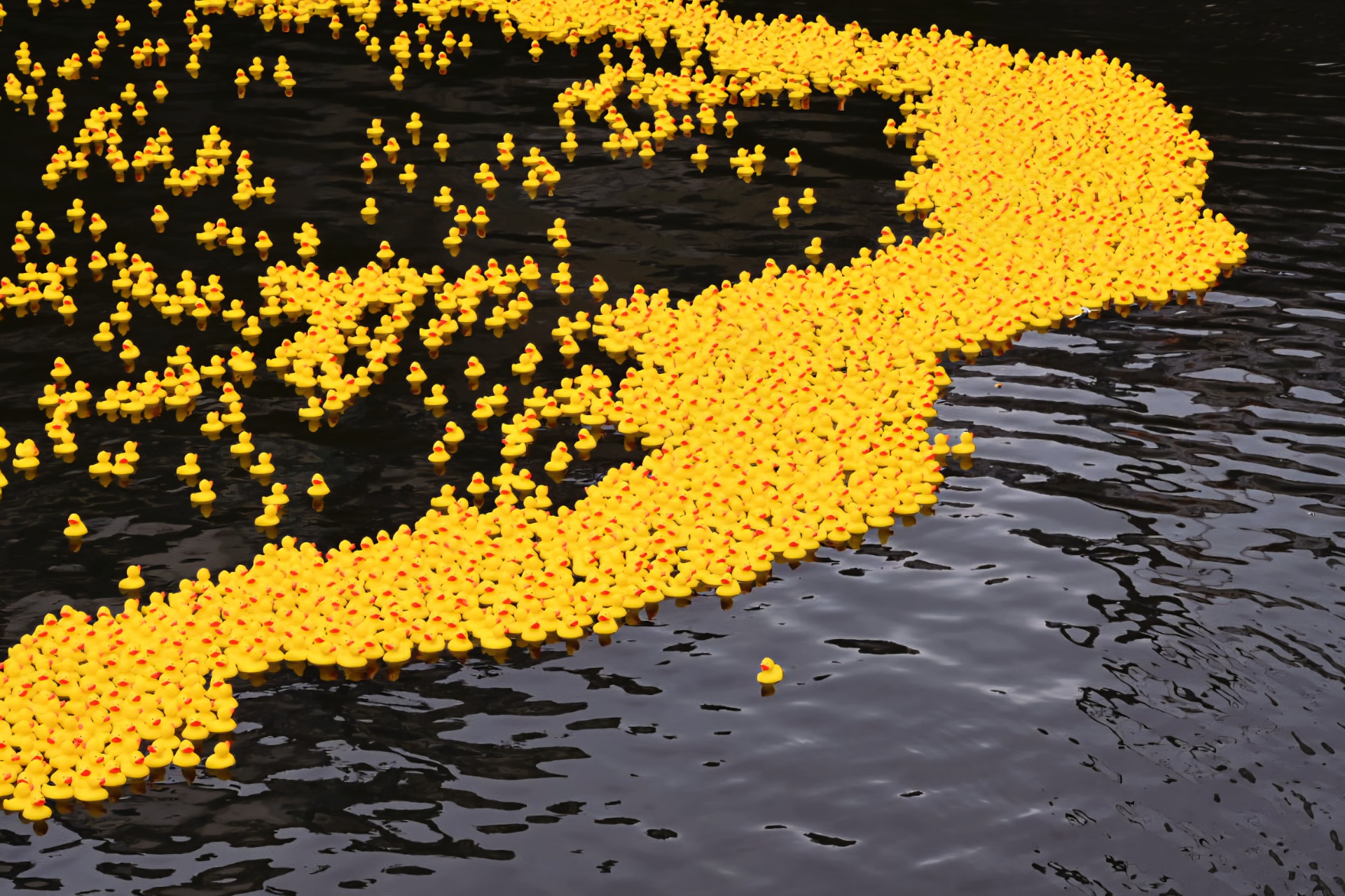 Mon Canard Carolo @ Léon Bardamu 20250921