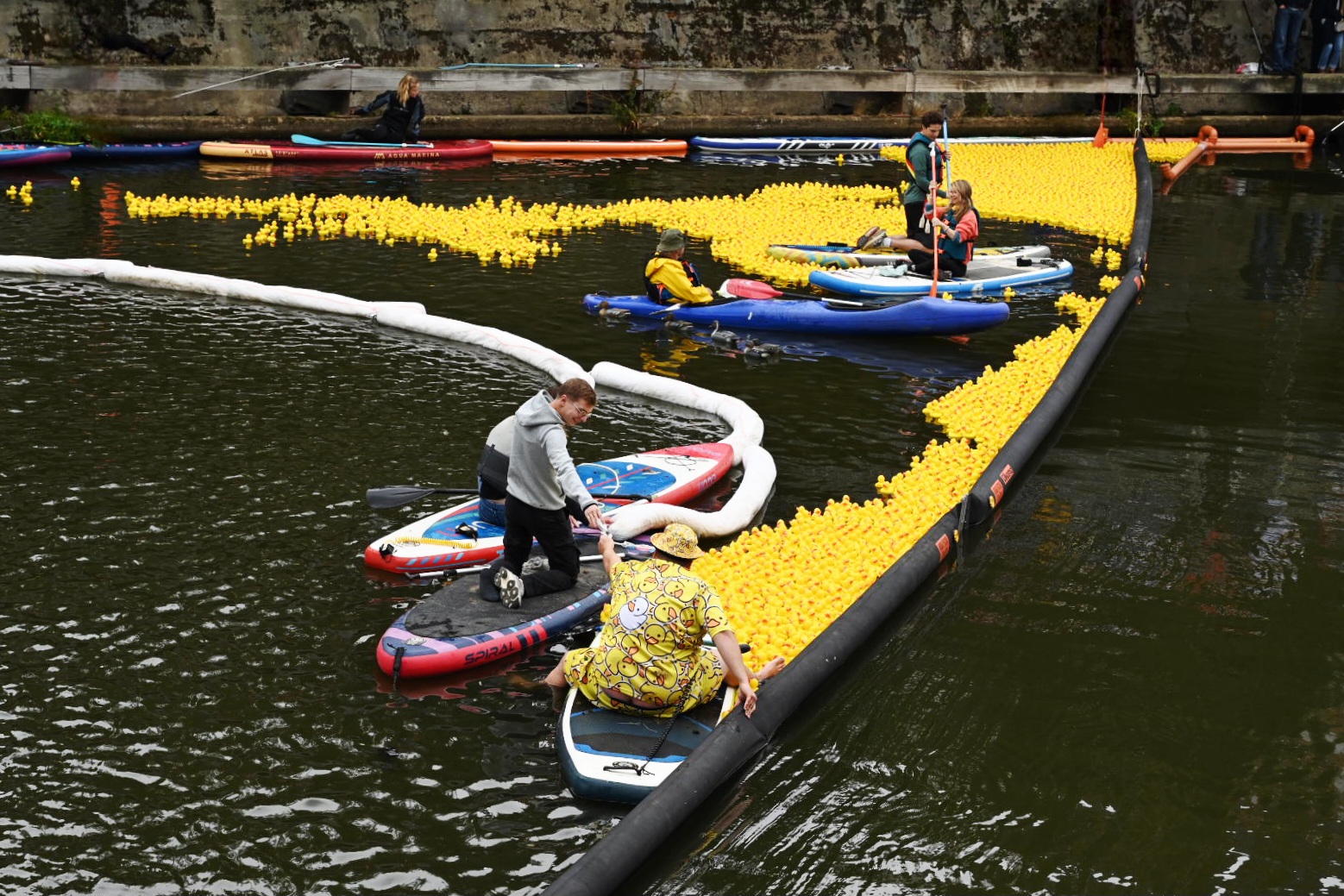 Mon Canard Carolo @ Léon Bardamu 20250921