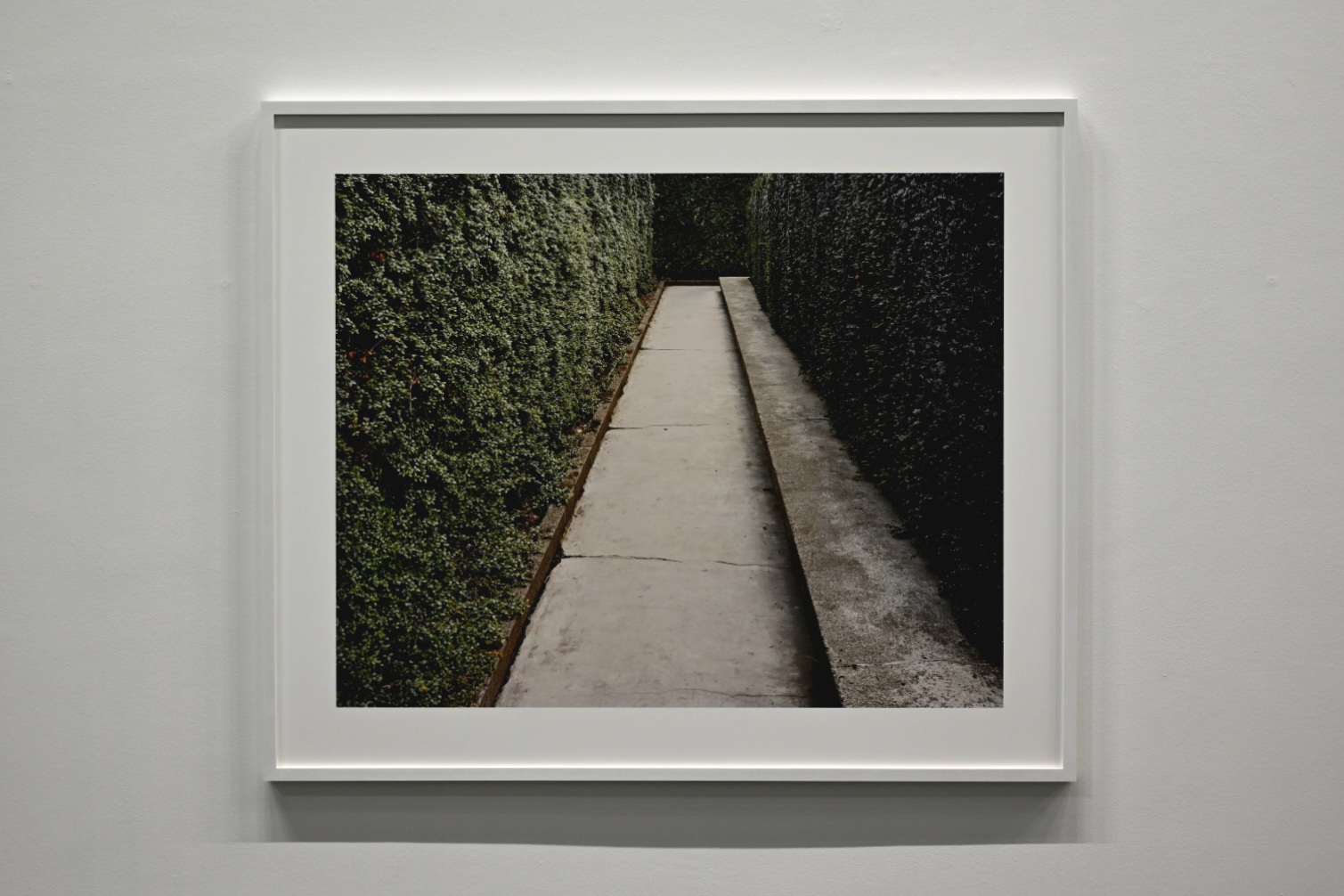 " ... puisque bafouillent aussi les astres" @ Léon Bardamu 20260130